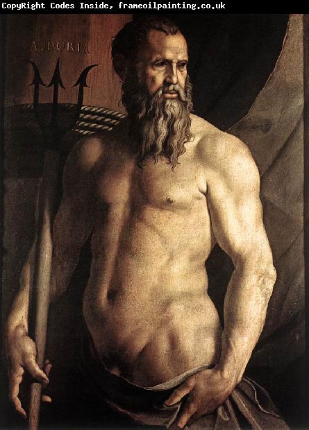 BRONZINO, Agnolo Portrait of Andrea Doria as Neptune df